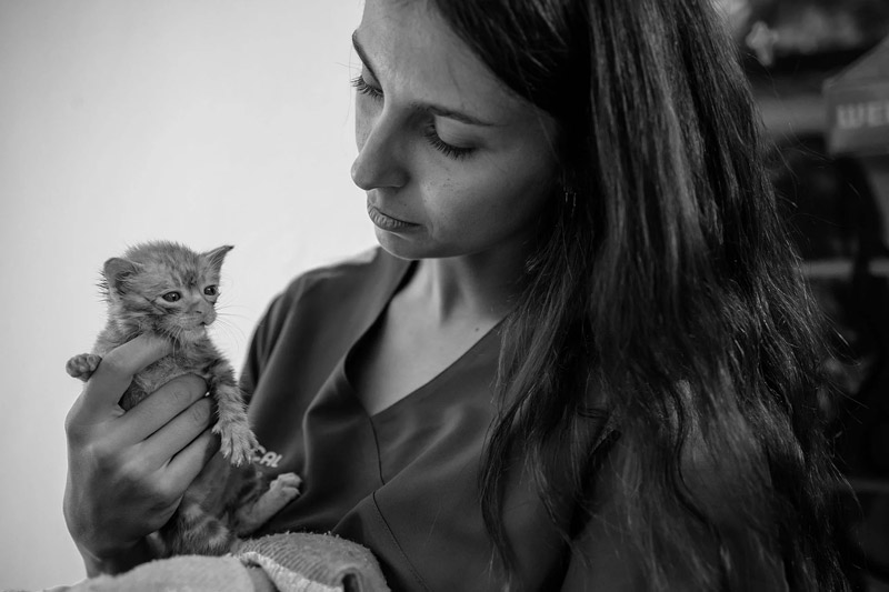 Estudiante de ATV asistiendo en una consulta veterinaria real