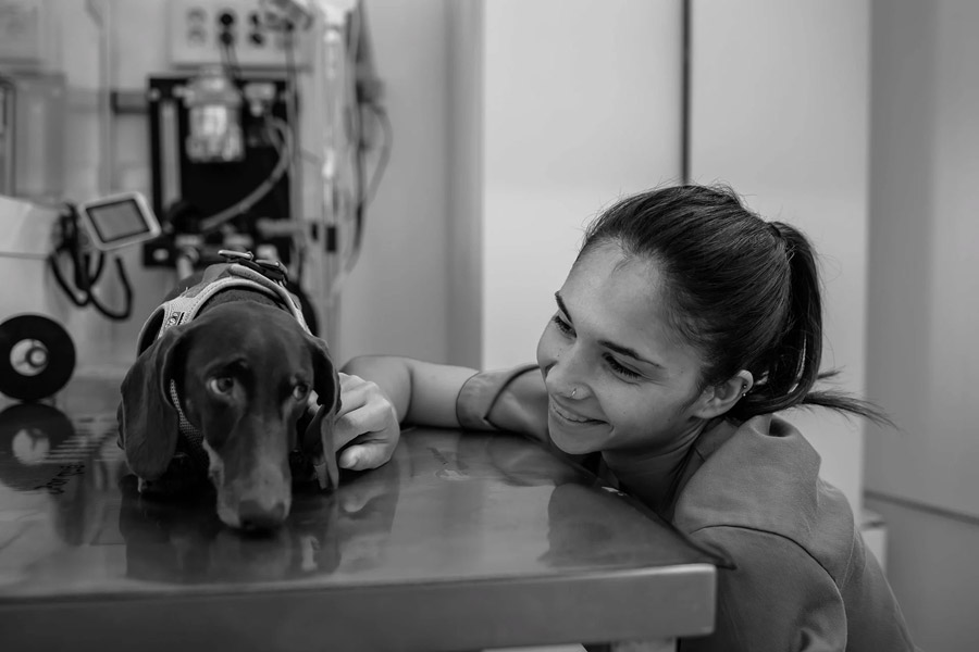 Formación práctica en quirófano para auxiliares técnicos veterinarios
