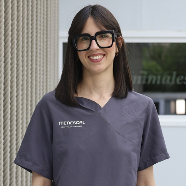 menescal3 1