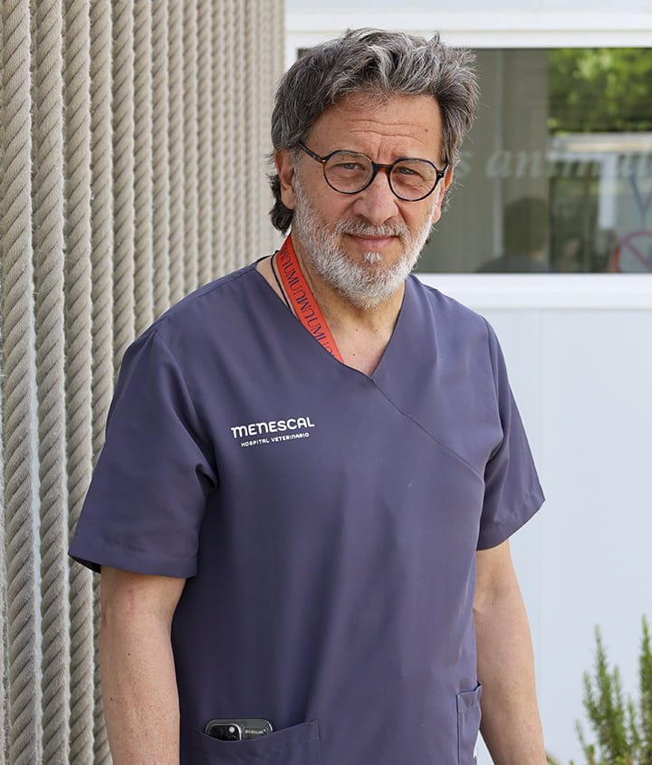 antonio navarro clinica veterinaria menescal