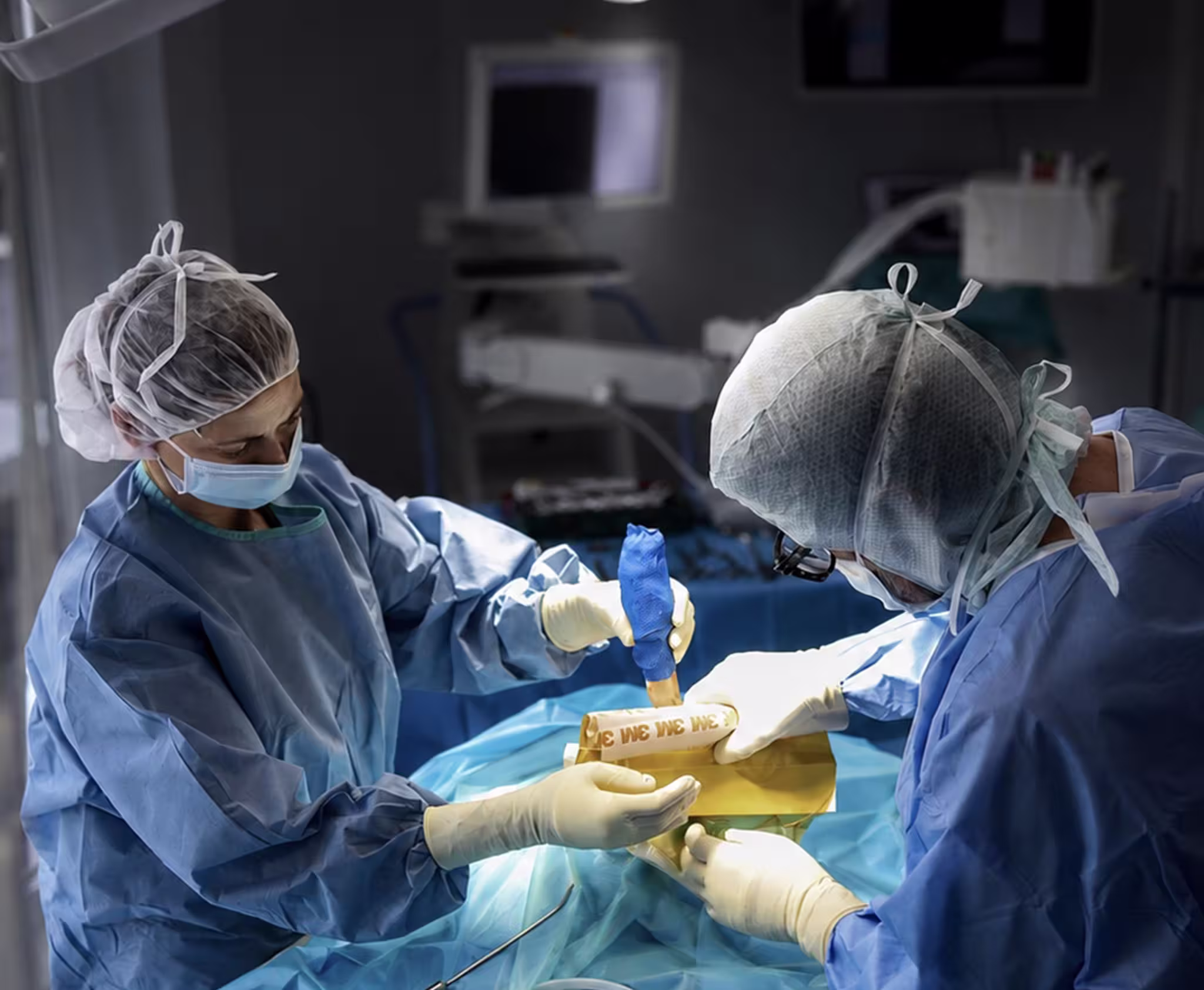 traumatologo-veterinario-en-alicante-2