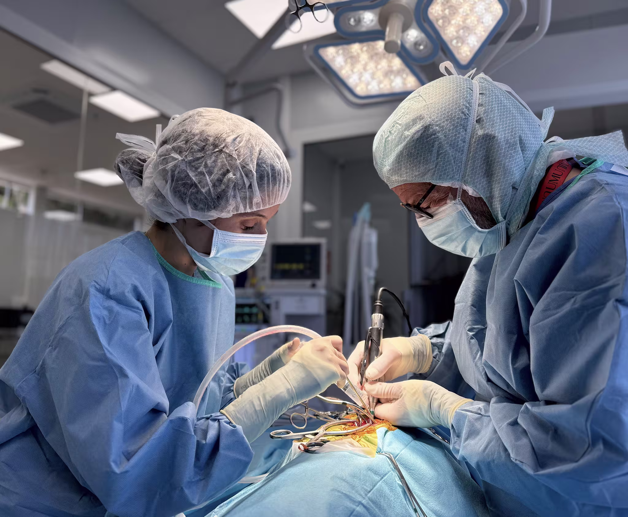 traumatologo-veterinario-en-alicante-3