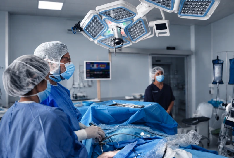 Traumatología veterinaria en Alicante para perros y gatos